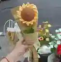 Girasol Eterno