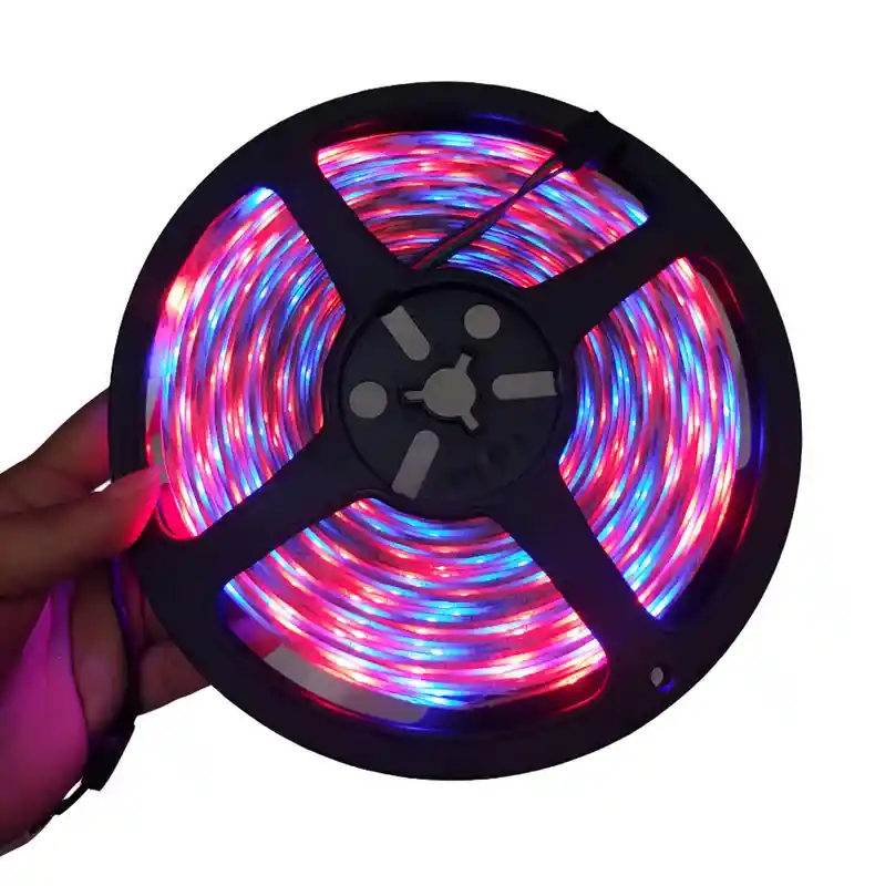 Luces Led 10 Metros Rgb Básica Con Control