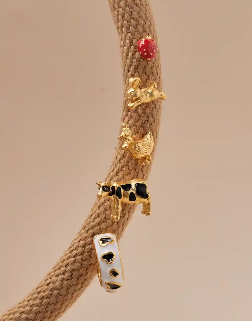 Entrelazos Set De 5 Aretes Farm