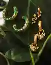 Entrelazos Earparty Camuflado
