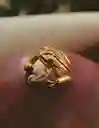 Entrelazos Earcuff Rana Coquí