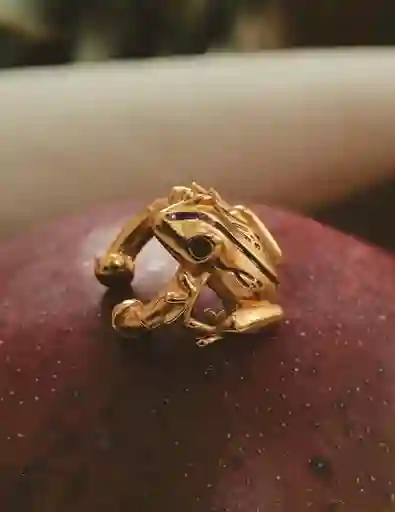 Entrelazos Earcuff Rana Coquí