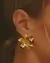 Entrelazos Aretes Passiflora