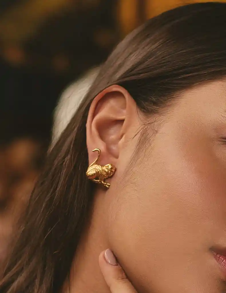 Entrelazos Aretes Mono Tití