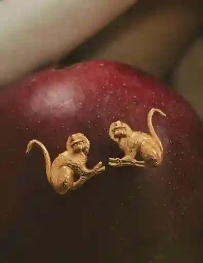 Entrelazos Aretes Mono Tití