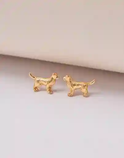 Entrelazos Aretes Golden Retriever