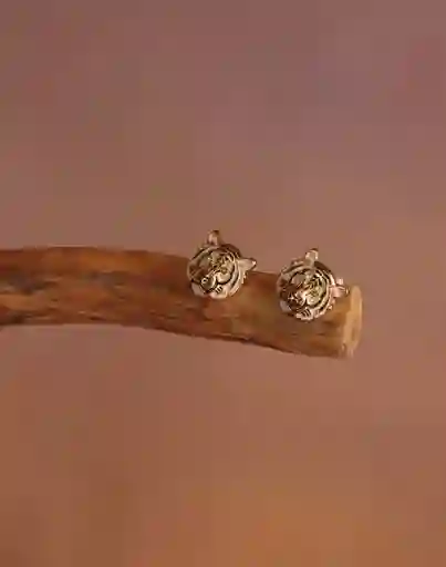 Entrelazos Aretes Felino