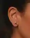 Entrelazos Aretes Delfin Plateados