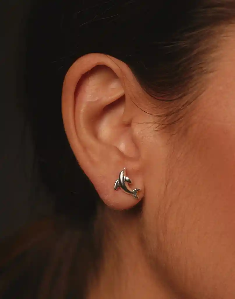Entrelazos Aretes Delfin Plateados
