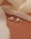 Entrelazos Aretes Delfin Plateados