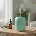 Humidificador Difusor Ambientador Verde Pequeño