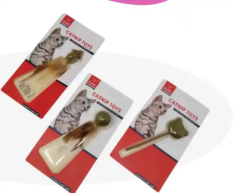 Catnip Toy