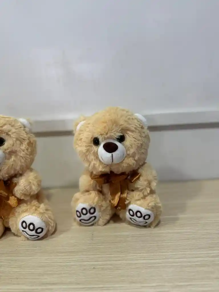 Oso Peludito Pequeño 20 Cm