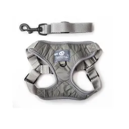 Pechera Xs Acolchado Gris