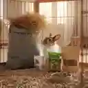 Combo Heno Pangola - El Galpon 5.8.