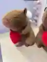 Capibara Corazón Con Alitas 30 Cm