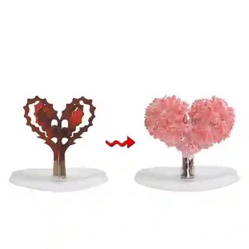 Cerezo Corazón Magico