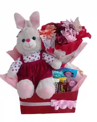 Ancheta Regalo Celebracion Premiun