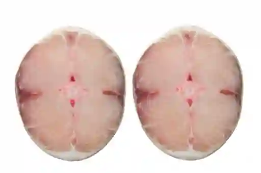 Bagre Rayado X 3 Postas Paquete De 550-600 Gramos