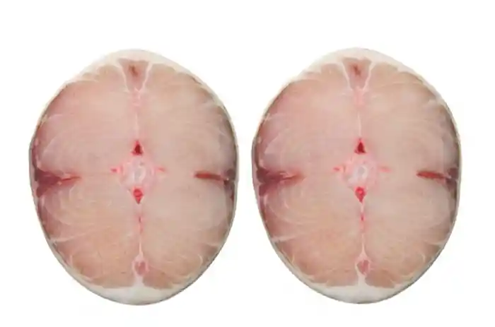 Bagre Rayado X 3 Postas Paquete De 550-600 Gramos