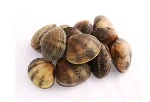 Almeja En Concha Paquete X 500 Gramos