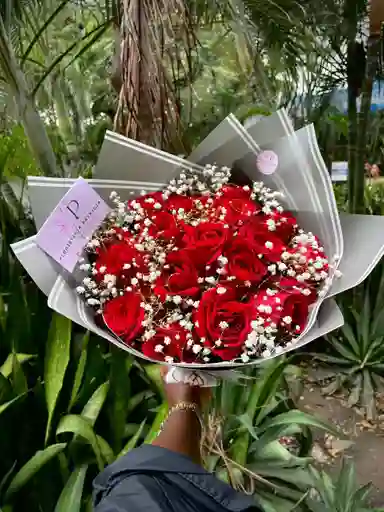 Rosas Rojas