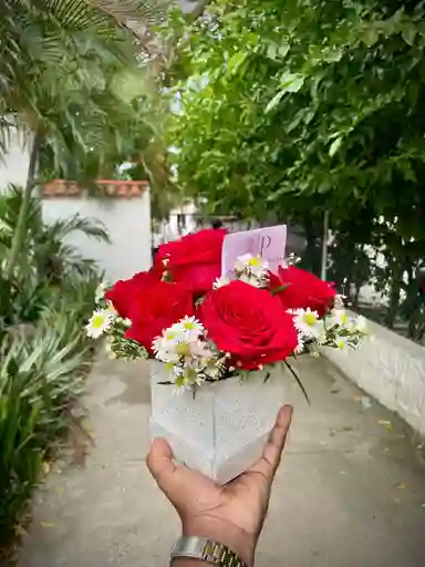 Mini Caja De Rosas