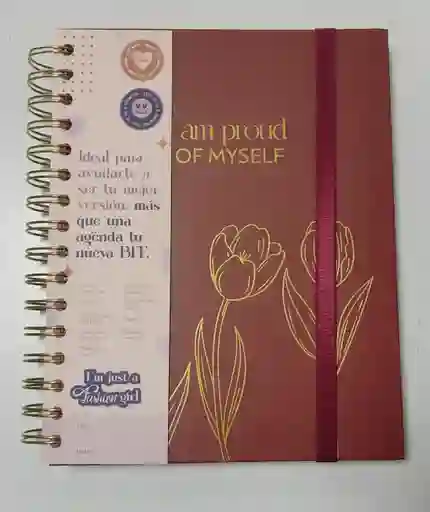Agenda Argollada 16x5x21 Tulipna