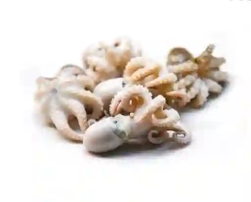 Pulpo Baby Premium Paquete X 1.000 Gramos