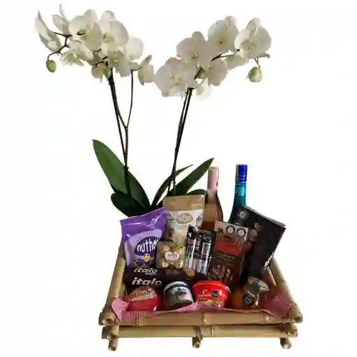 Orquídea Y Ancheta Navideña