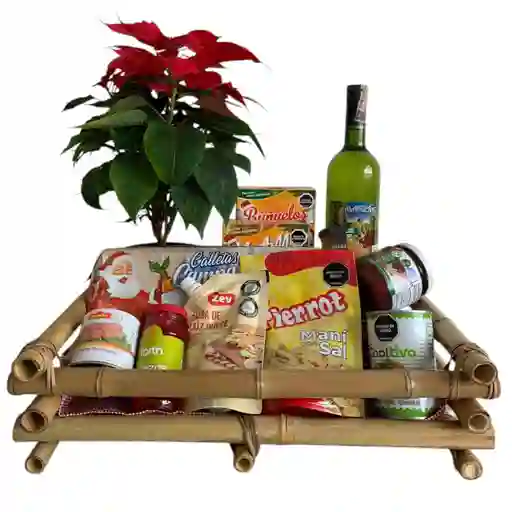 Ponsettia Y Ancheta De Navidad