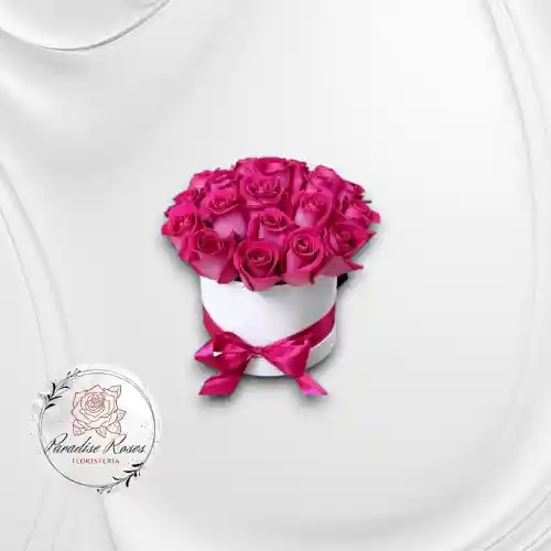 “pasión Fucsia”