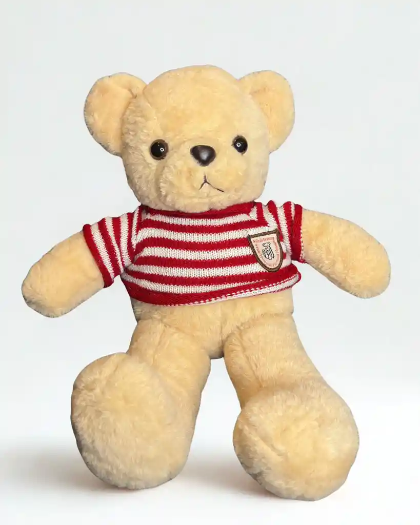 Oso De Peluche Con Suéter De Rayas Rojas