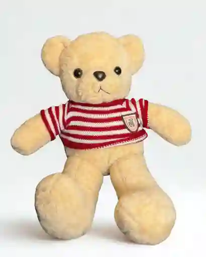 Oso De Peluche Con Suéter De Rayas Rojas