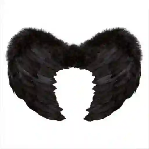 Alas De Plumas Negras