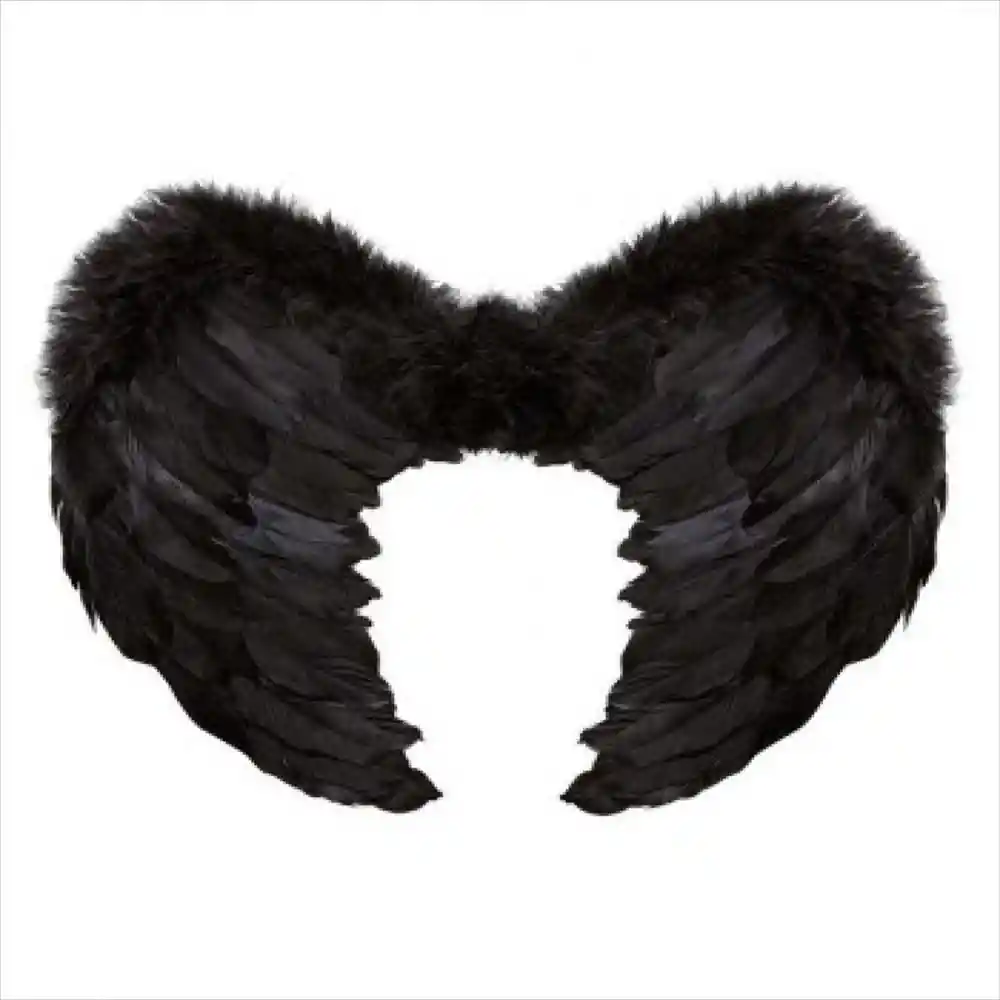 Alas De Plumas Negras