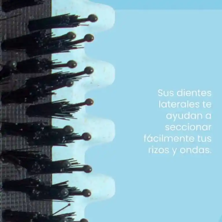 Cepillo Curly Master Definidor Para Cabello Rizado Ondulado