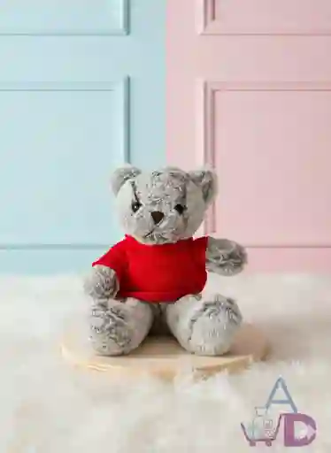 Peluche Oso Con Saco