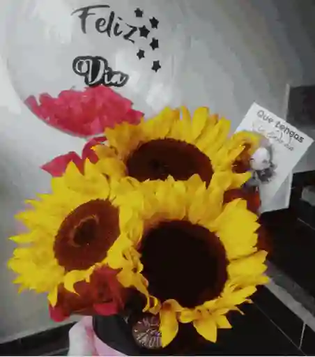 Girasoles Del Brillo