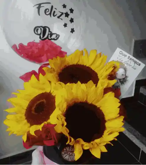 Girasoles Del Brillo