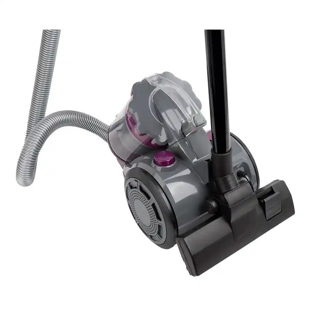 Aspiradora Electrolux Mas Filtros Morado 1200 W Abs01+efs01