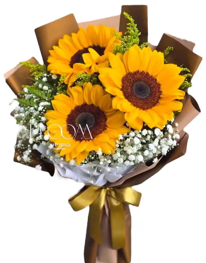Flores Girasoles X3