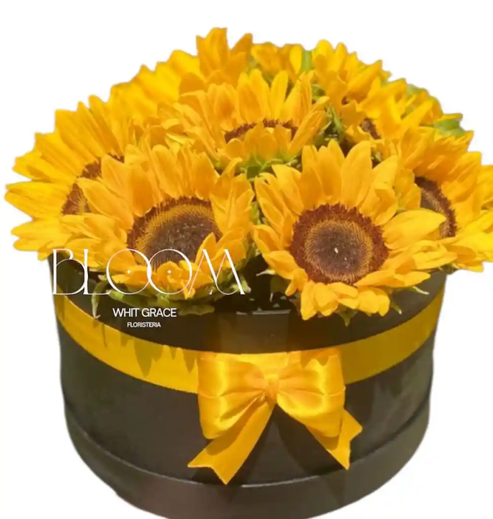Flores Girasoles En Cilindro