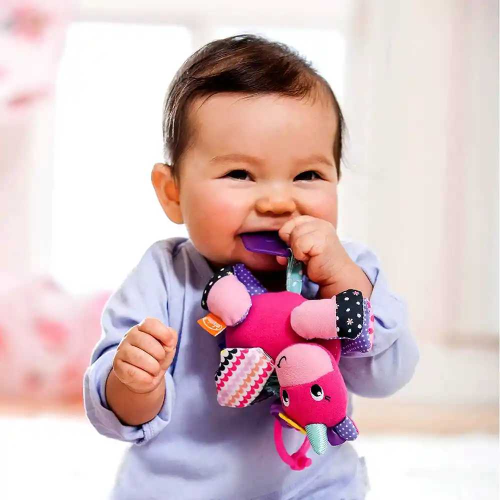 Juguete Bebé Mordedor Estimulación Unicornio Texturas