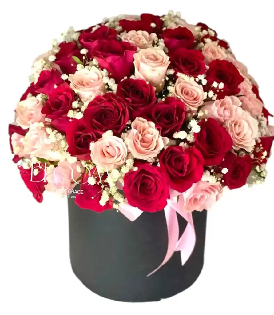 Flores Rosas Rojas Y Rosadas X48 Burbuja