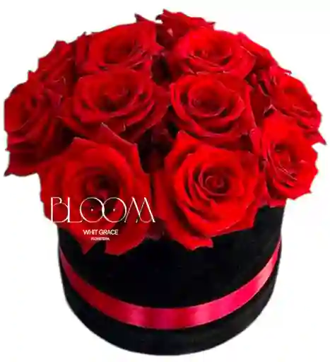 Flores Rosas Rojas En Cilindro