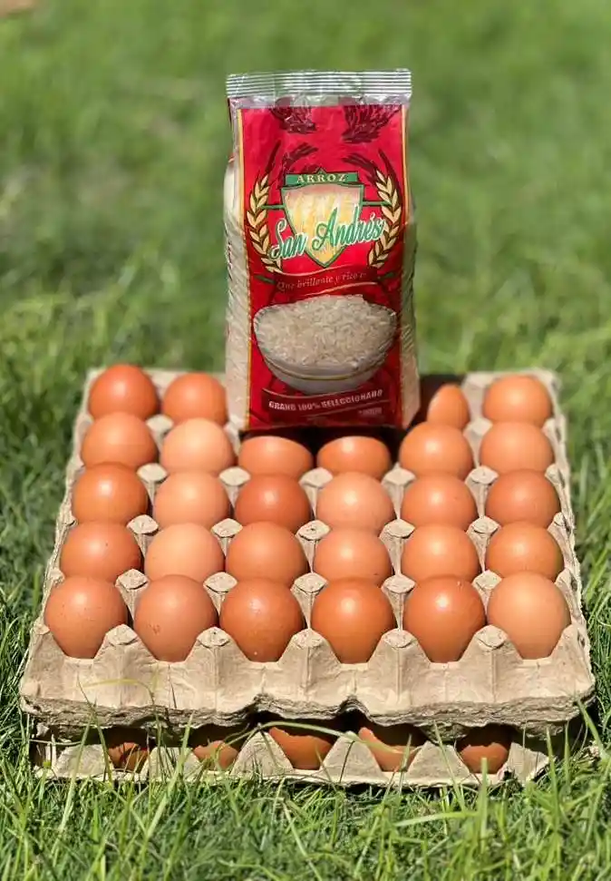 Combo 2 Arroz San Andrés Y Huevos Villa Paula