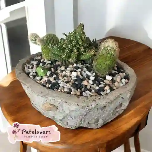 Bonsai Petalovers