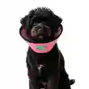 Cono Para Mascota Color Rosa Con Diseño De Gatos Talla 2