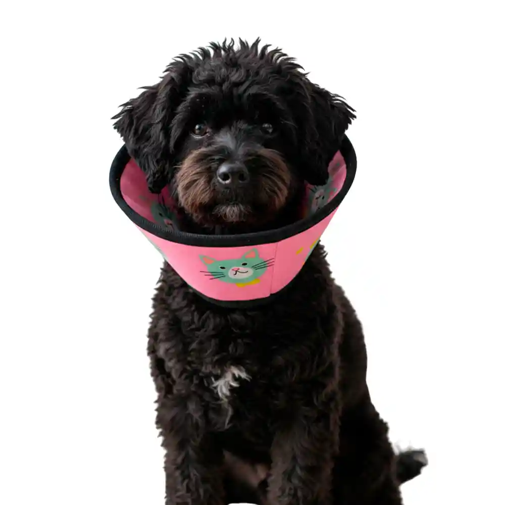 Cono Para Mascota Color Rosa Con Diseño De Gatos Talla 2